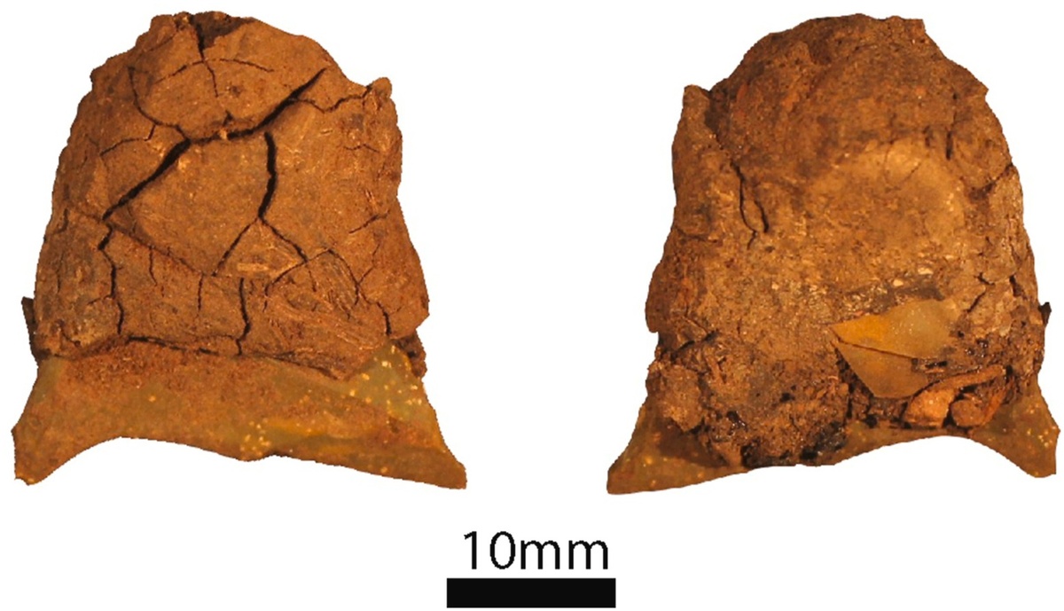 Изделие из голоценовых слоёв пещеры, на котором сохранились следы смолы спинифекс.